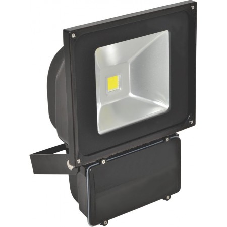 Proiector led 100W Klausen